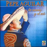 Pepe Aguilar - Tu Camino Y El Mio lyrics