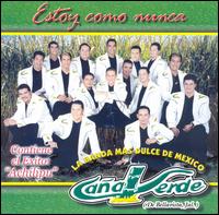 Banda Cana Verde - Estoy Como Nunca lyrics