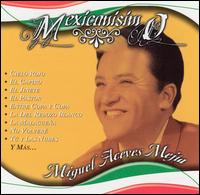 Miguel Aceves Mejia - Mexicanisimo lyrics