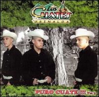 Los Cuates de Sinaloa - Puro Cuate, Vol. 3 lyrics