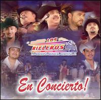 Los Rieleros del Norte - En Concierto [live] lyrics