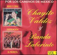 Chayito Valdz - Por los Caminos de Mexico lyrics