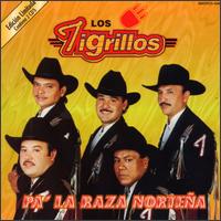 Los Tigrillos - Pa'La Raza Norte?a lyrics