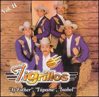 Los Tigrillos - Tigrillos, Vol. 2 lyrics