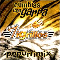 Los Tigrillos - Cumbias con Garra Popurrimix lyrics