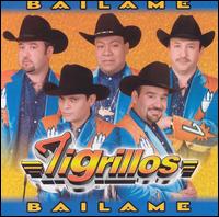 Los Tigrillos - Bailame lyrics