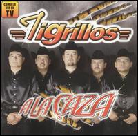 Los Tigrillos - A la Caza lyrics