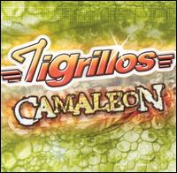Los Tigrillos - Camaleon lyrics