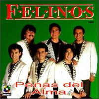 Los Felinos - Penas Del Alma lyrics