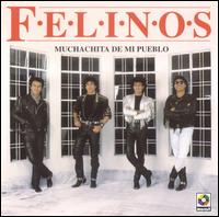 Los Felinos - Muchachita de Mi Pueblo lyrics