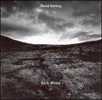 David Darling - Dark Wood lyrics