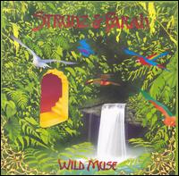 Strunz & Farah - Wild Muse lyrics