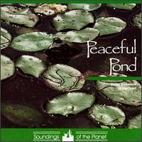 Dean Evenson - Peaceful Pond [1986] lyrics