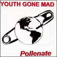 Youth Gone Mad - Pollenate lyrics