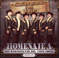 Canoneros del Valle - Homenaje a Los Rancheritos del Topo Chico, Vol. 2 lyrics