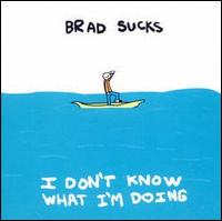 Brad Sucks - I Don't Know What I'm Doing lyrics