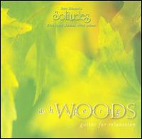 Dan Gibson - Whispering Woods lyrics