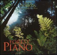 Dan Gibson - Forest Piano lyrics