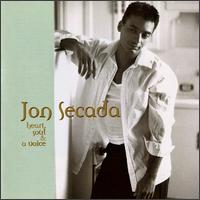 Jon Secada - Heart, Soul & A Voice lyrics