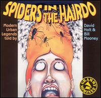 David Holt - Spiders in the Hairdo lyrics