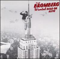 David Bromberg - Wanted Dead or Alive lyrics
