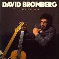 David Bromberg - Sideman Serenade lyrics