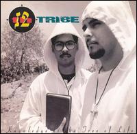 12th Tribe - Knowledge Is the Tree of Life lyrics