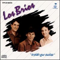 Los Brios - Te Pido Que Vuelvas lyrics