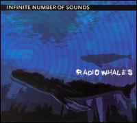 Infinite Number of Sounds - Radio Whales lyrics