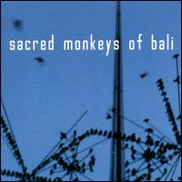 Sacred Monkeys Of Bali - Afterthought lyrics