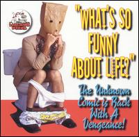 Unknown Comic - What's So Funny About Life lyrics