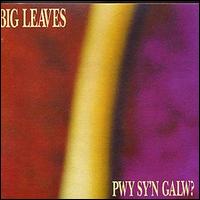 Big Leaves - Big Leaves lyrics