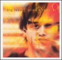 Big Leaves - Alien & Familiar lyrics