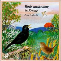 Jean C. Roch - Birds Awakening in Bresse lyrics