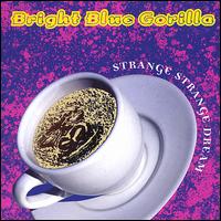 Bright Blue Gorilla - Strange Strange Dream lyrics
