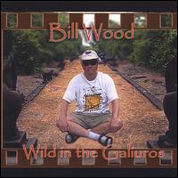 Bill Wood - Wild in the Galiuros lyrics