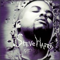 Steve Harris - Pebble lyrics