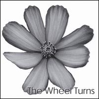 Curious Birds - The Wheel Turns lyrics