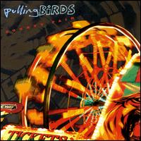 Pulling Birds - County Fair lyrics