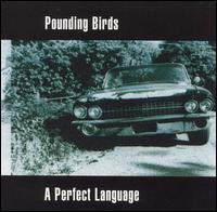 Pounding Birds - Perfect Language lyrics