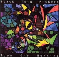 Black Twigs - Soon One Morning lyrics