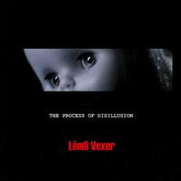 Lendi Vexer - The Process of Disillusion lyrics