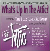 The Buzz Jones Band - What's Up In The Attic? [live] lyrics