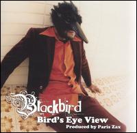Blackbird - Bird's Eye View lyrics
