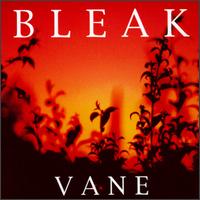 Bleak - Vane lyrics