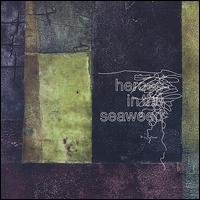 Heroes in the Seaweed - Warmth in Your Distance lyrics