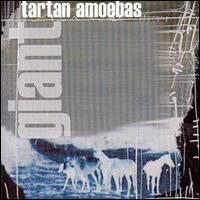 Tartan Amoebas - Giant lyrics