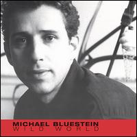 Michael Bluestein - Wild World lyrics