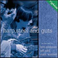 The Blue Rider Trio - Harp, Steel And Guts lyrics