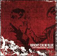 Bright Calm Blue - Direct Approach for Casual Conversation lyrics